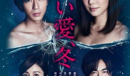 夺爱之冬在线观看,冬日恋曲，情感纠葛在线揭晓