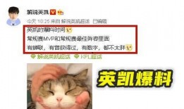 英凯最新爆料消息视频,揭秘视频背后的惊人真相